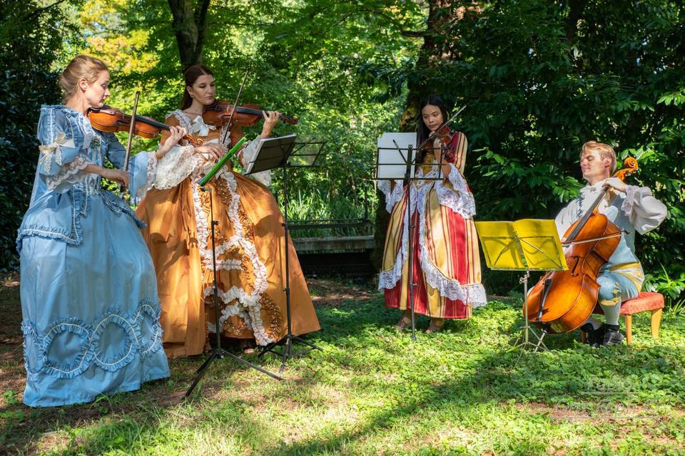 Quartetto d'archi Le Corde del Mondo