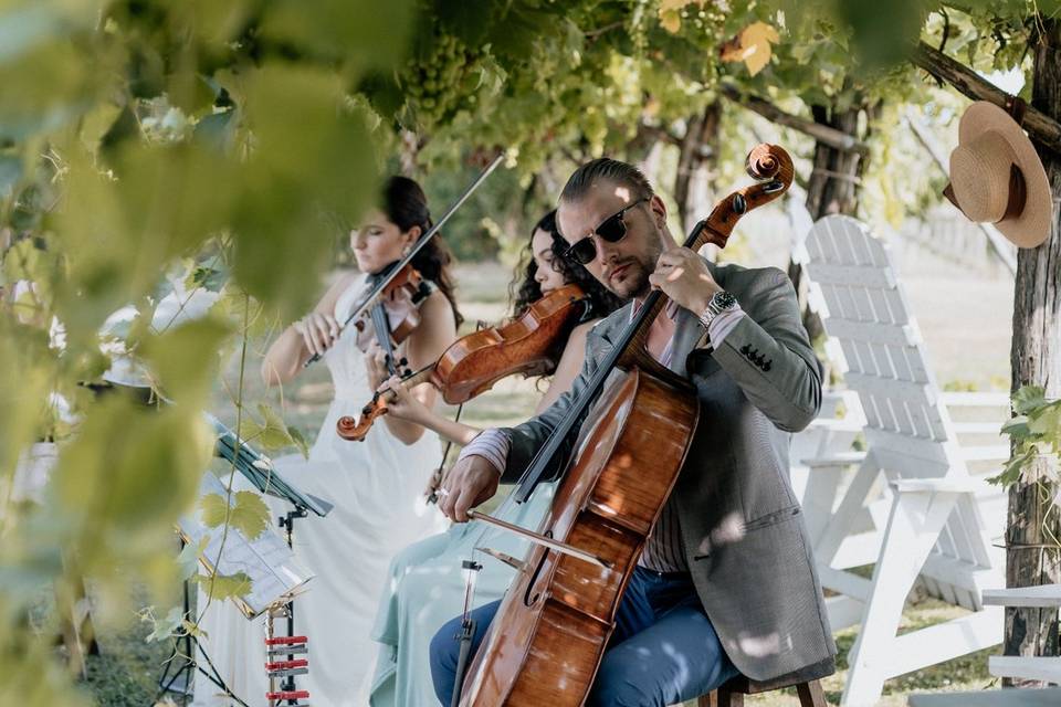 Quartetto d'archi Le Corde del Mondo