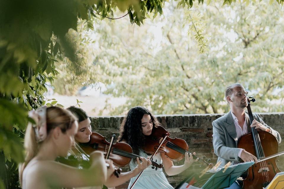 Quartetto d'archi Le Corde del Mondo