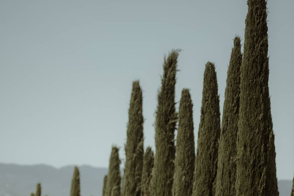 Wedding in Montepulciano