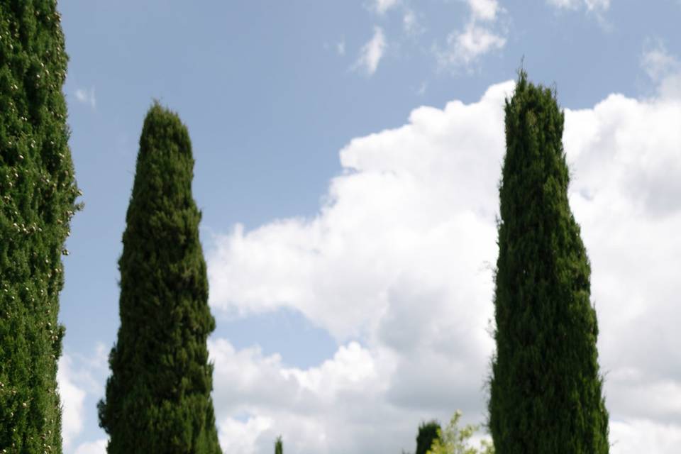 Terre di Nano