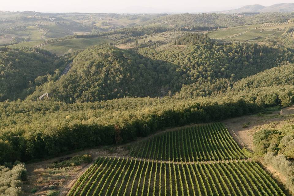 Quercia al Poggio