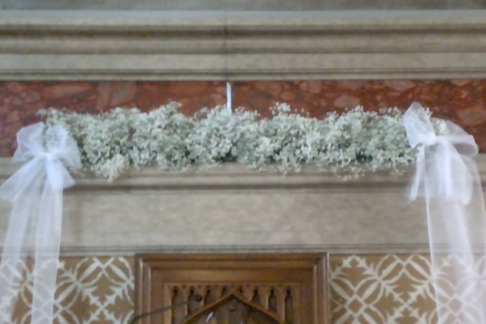 Altare gypsophila