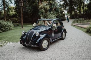 Your Lovely Cars