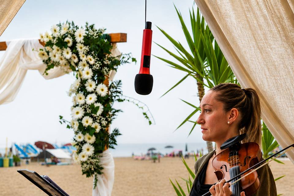 Violinista