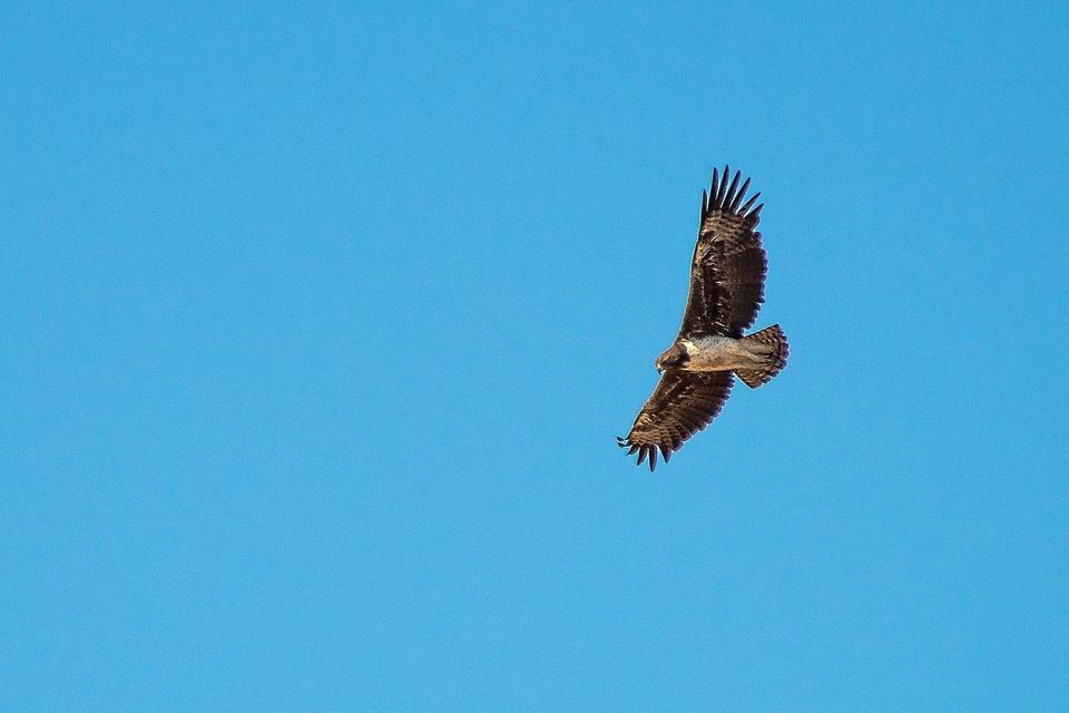 Kruger Park