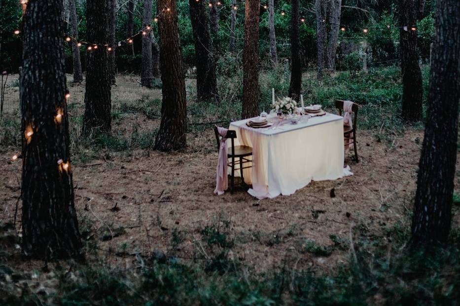 Cena nel bosco