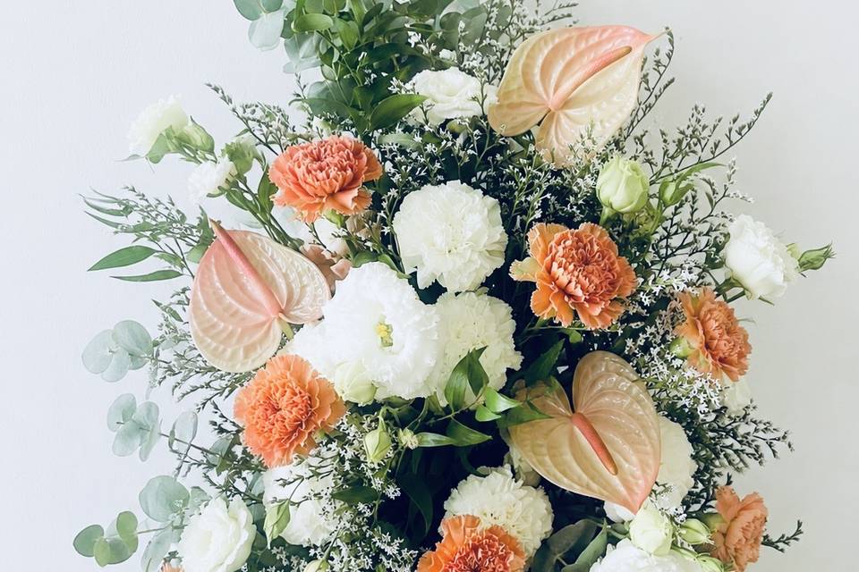 Collezione Peach