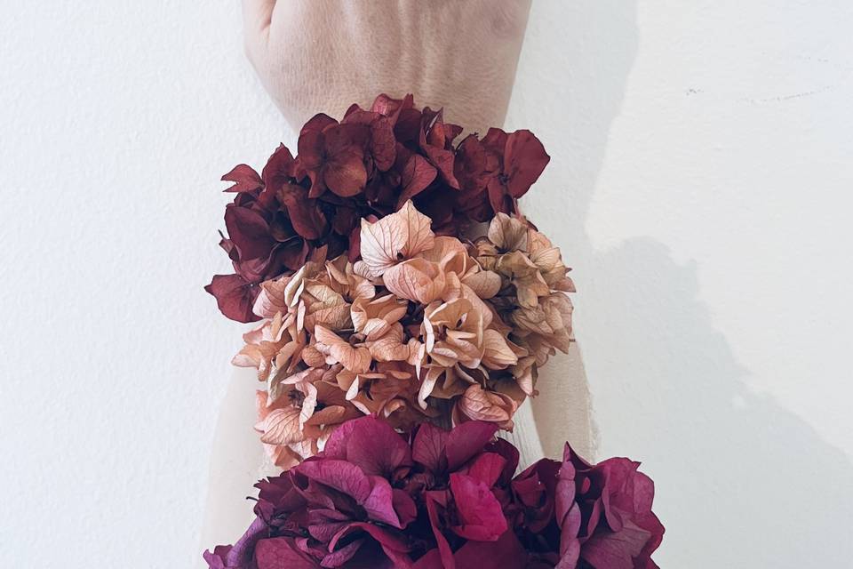 Accessori ortensia stabilizzat