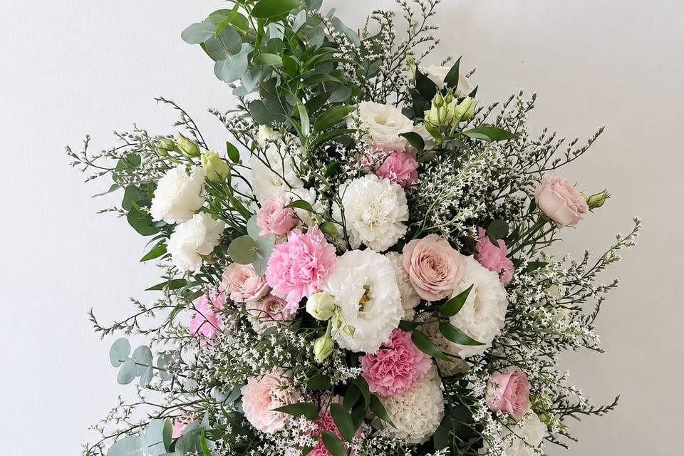 Collezione blush