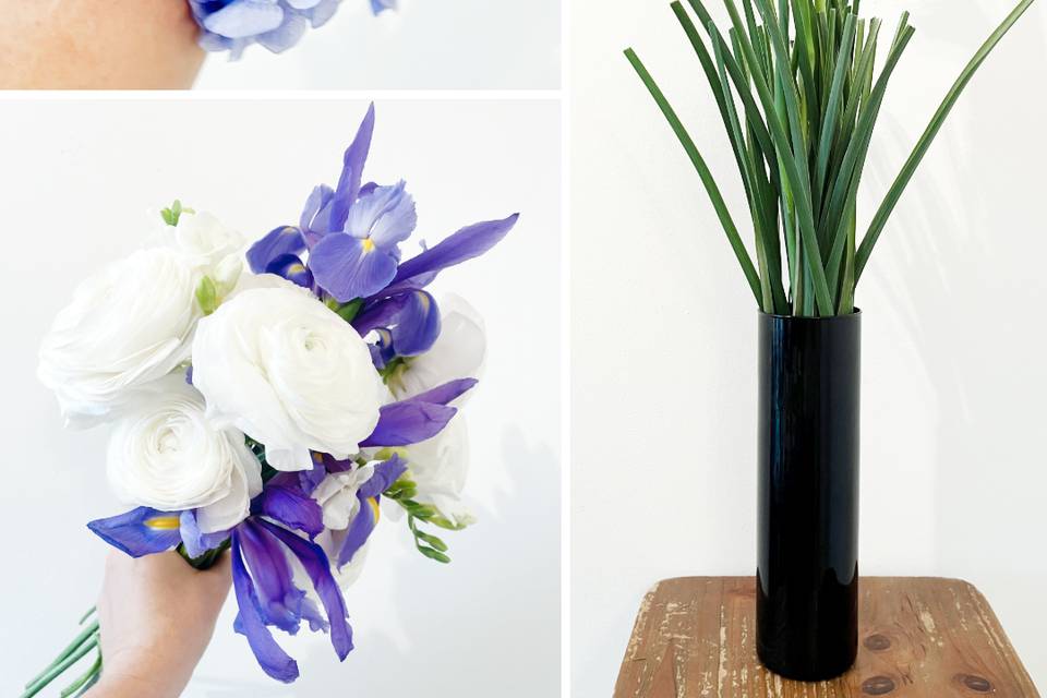 Iris blue