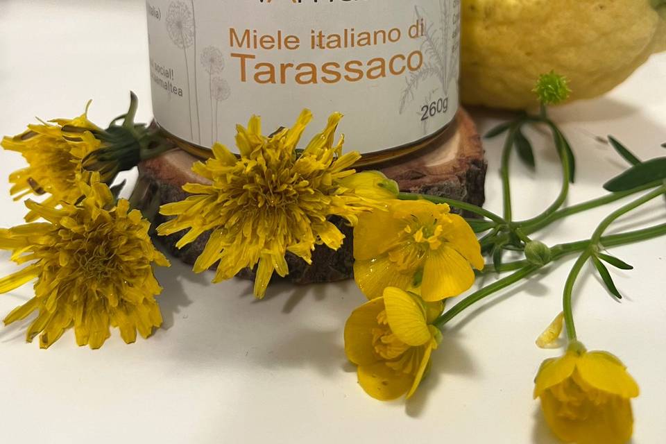 Miele di tarassaco