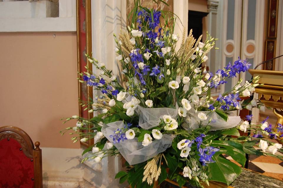 Delphinium e lisianthus