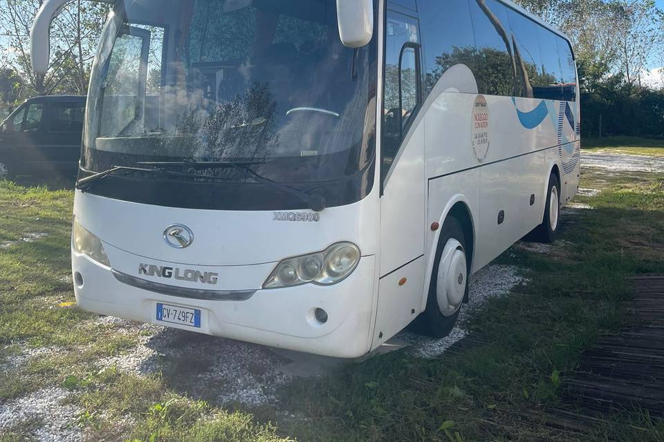 Bus 36 posti