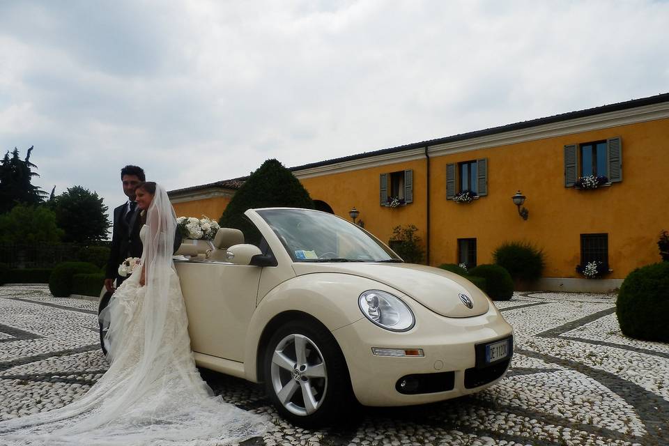 New beetle cabrio avorio