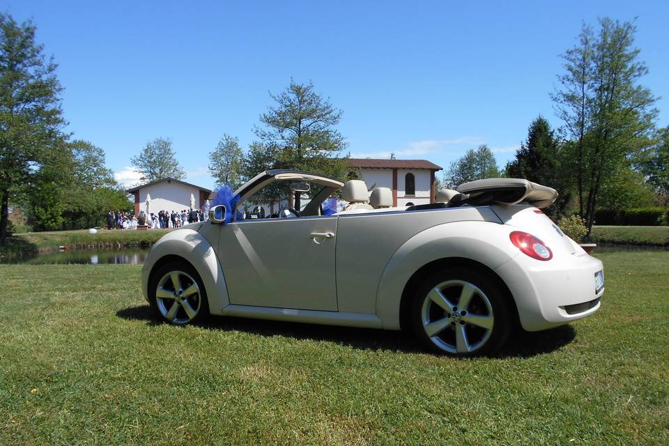 New beetle cabrio avorio