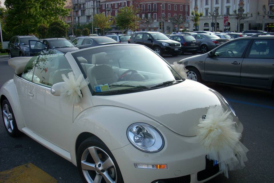 New beetle cabrio avorio