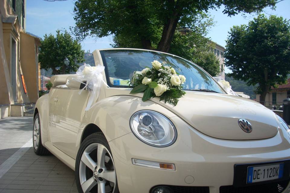 New beetle cabrio avorio