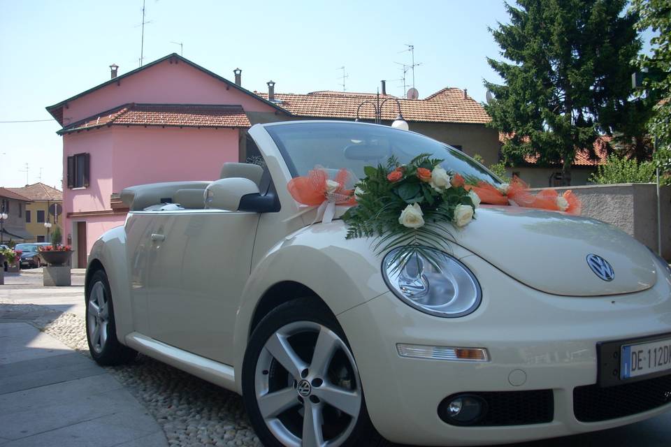 New beetle cabrio avorio