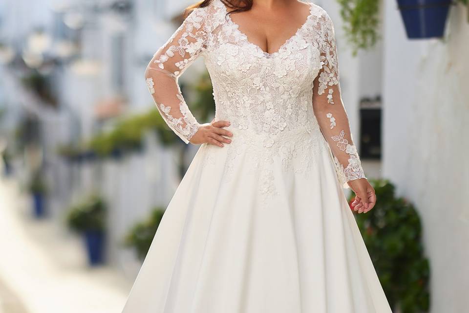 Curvy collection