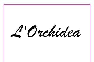 L'Orchidea