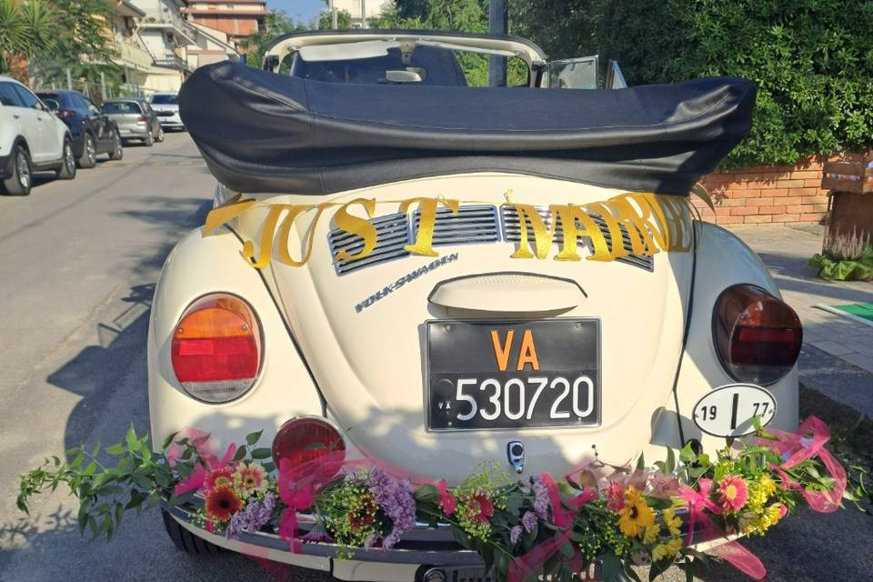 Maggiolino