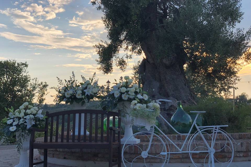 Ferretti il Giardino di Venere