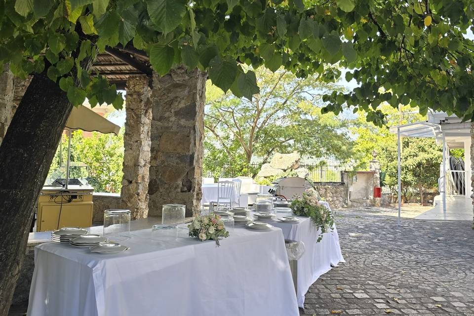 Tenuta oliva