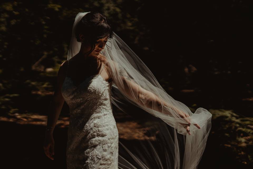 Bride veil in light