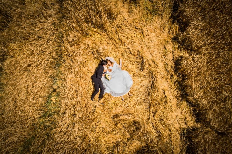 Field, grano, Perugia