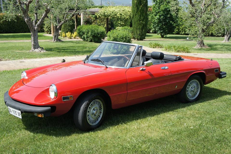 Alfa romeo Spider Duetto