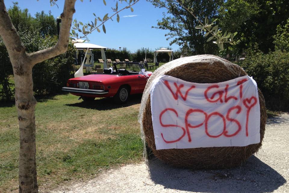 Alfa Romeo Spider W gli Sposi