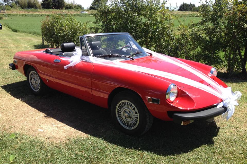 Alfa Romeo Spider decorata