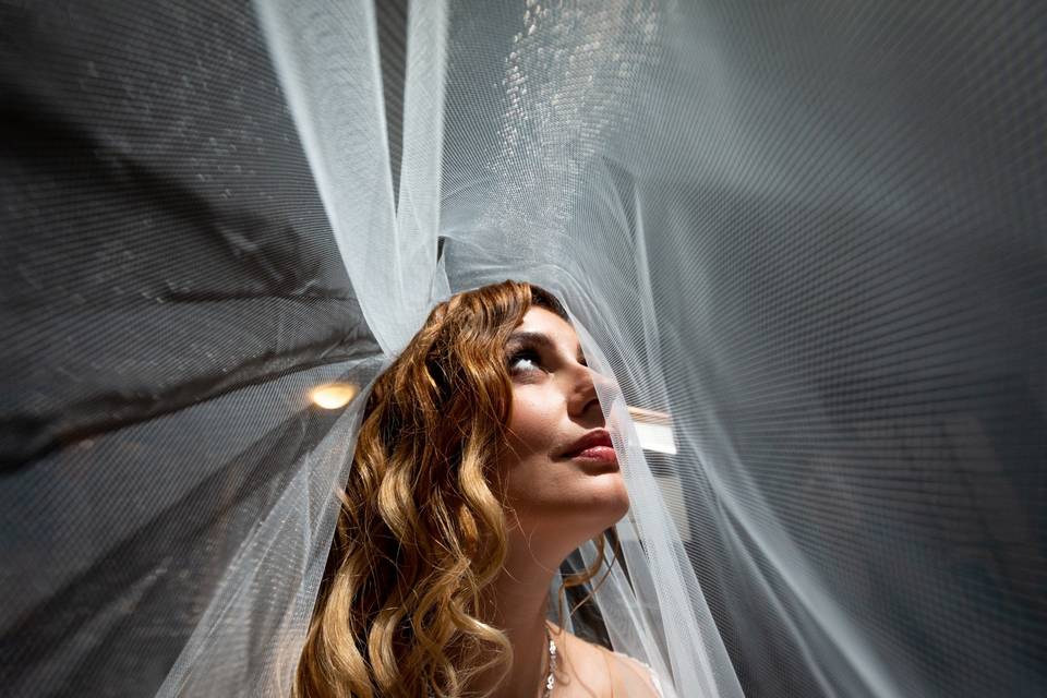 Bride, Portrait, under veil