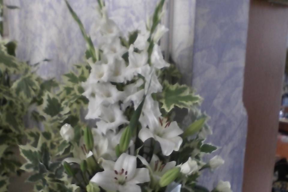 Gladioli e lillium
