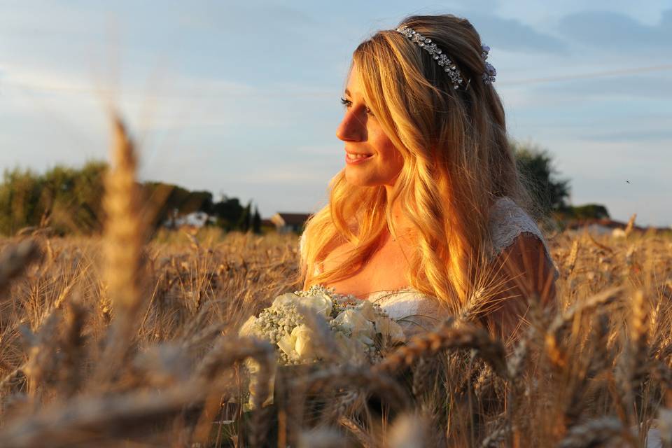 Luce dorata in campo di grano