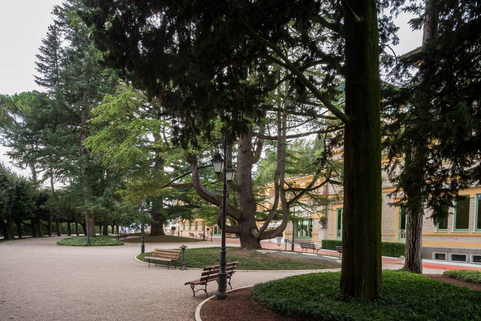 Il parco 2