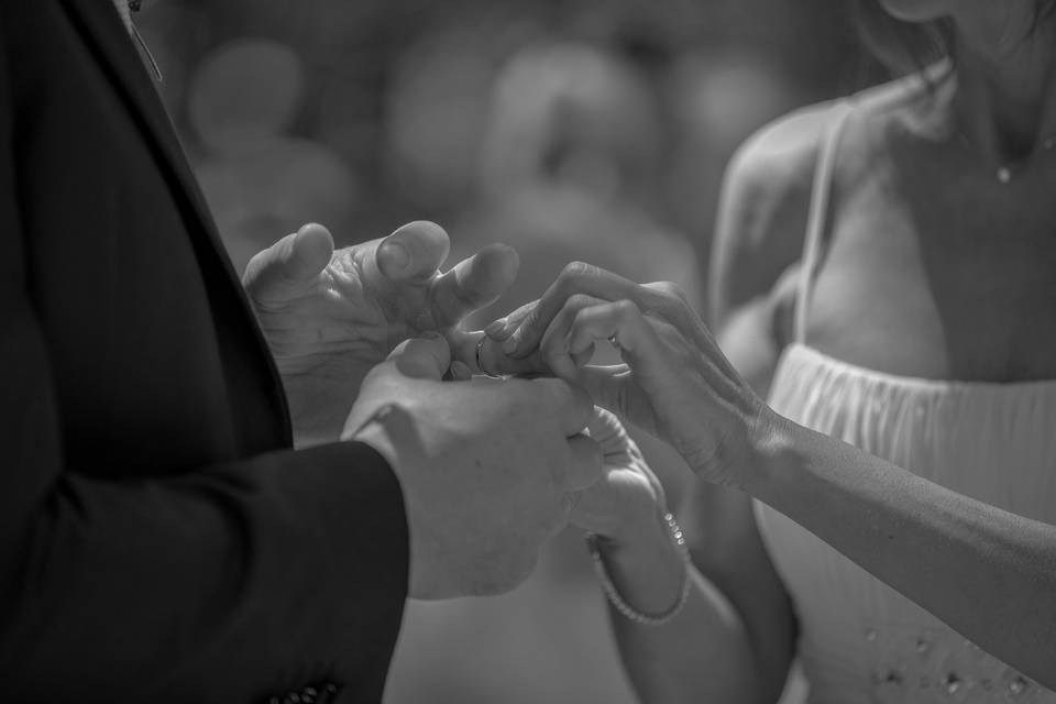 I Photoreporter  Wedding & More