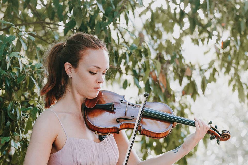 Violinista