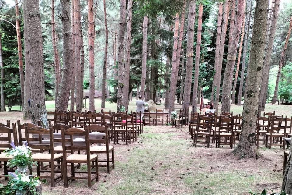 Matrimonio nel bosco