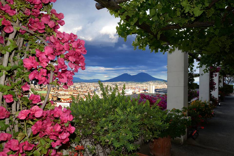 La Terrazza dei Barbanti