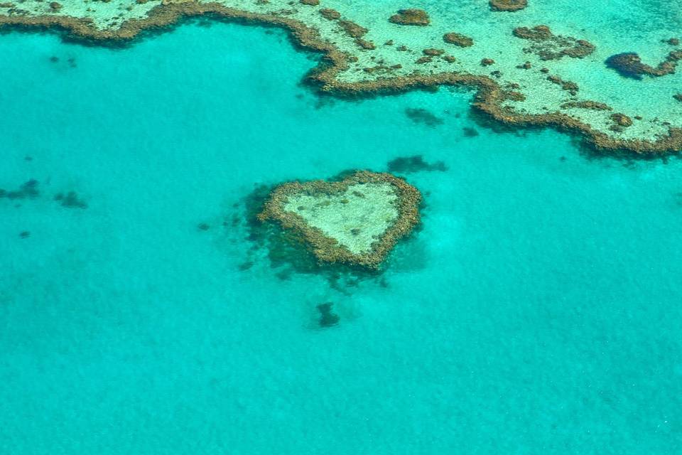 Cuore di corallo - Australia