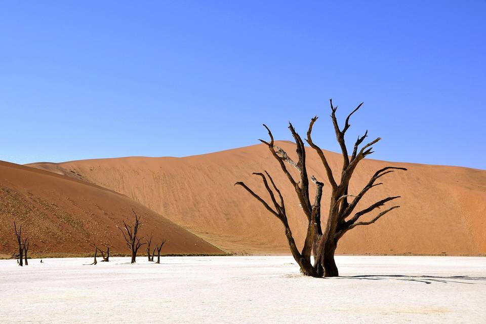 Il deserto della Namibia