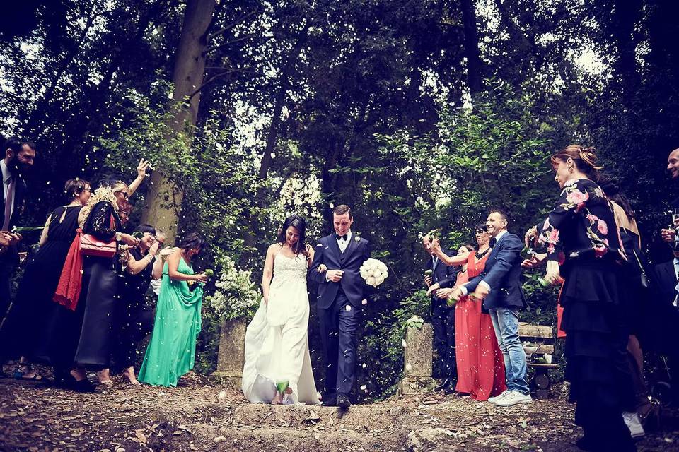 Afvision Wedding