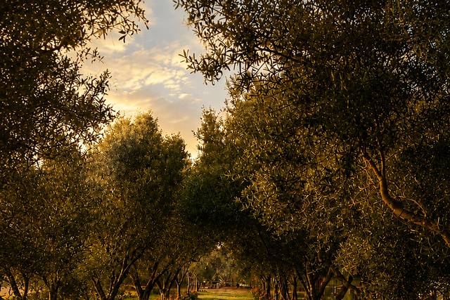 Ranch Paradiso Tuscia