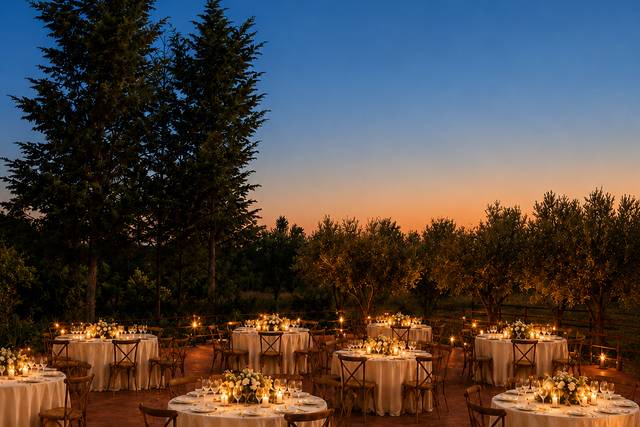Cena sotto le Stelle