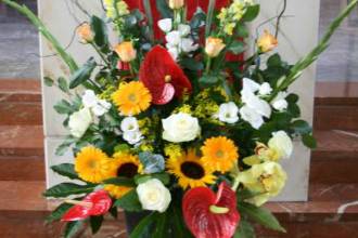 Splendidamente presentati