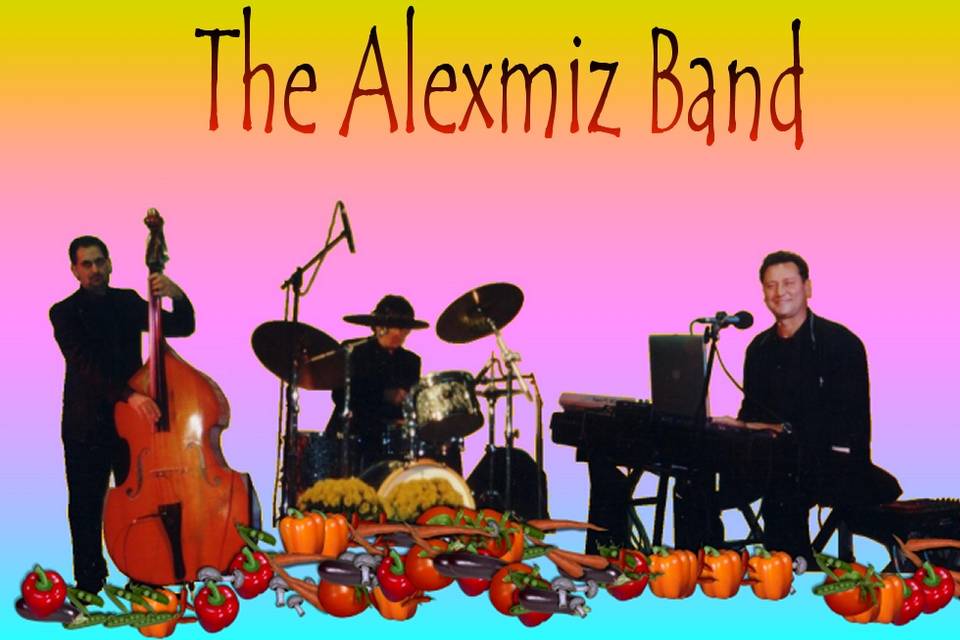 The Alexmiz band