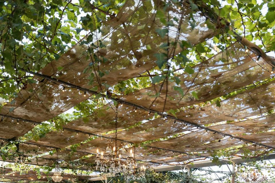 Matrimonio Rimini