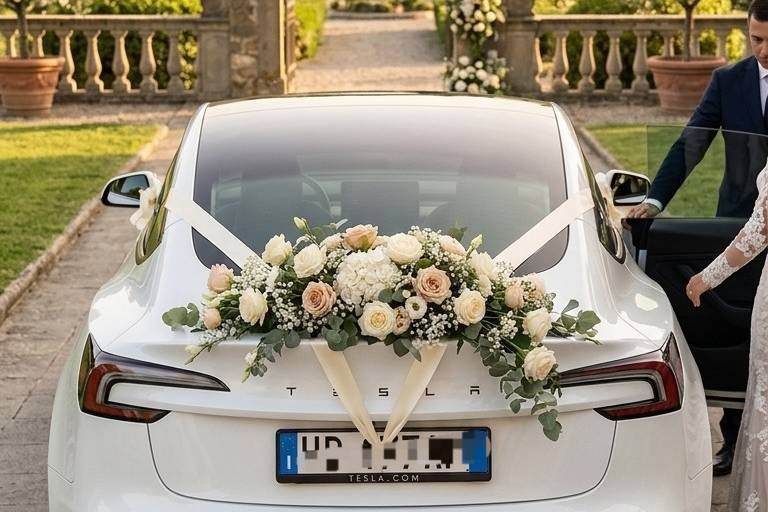 Luxury eCar